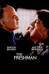 Poster for the movie "The Freshman"