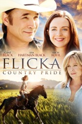 Poster for the movie "Flicka: Country Pride"