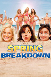 Poster for the movie "Spring Breakdown"