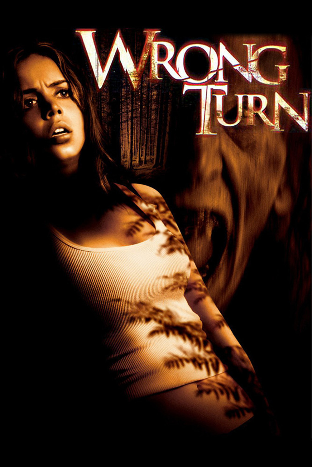Poster for the movie "Wrong Turn"