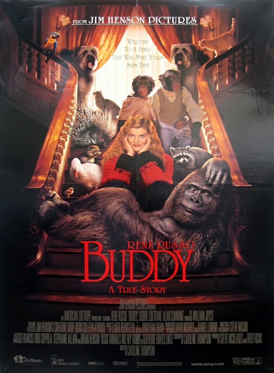 Poster for the movie "Buddy"
