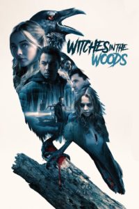 Poster for the movie "Witches In The Woods"