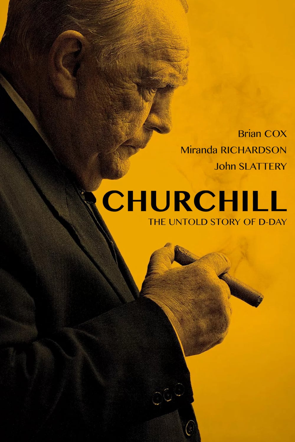 Poster for the movie "Churchill"